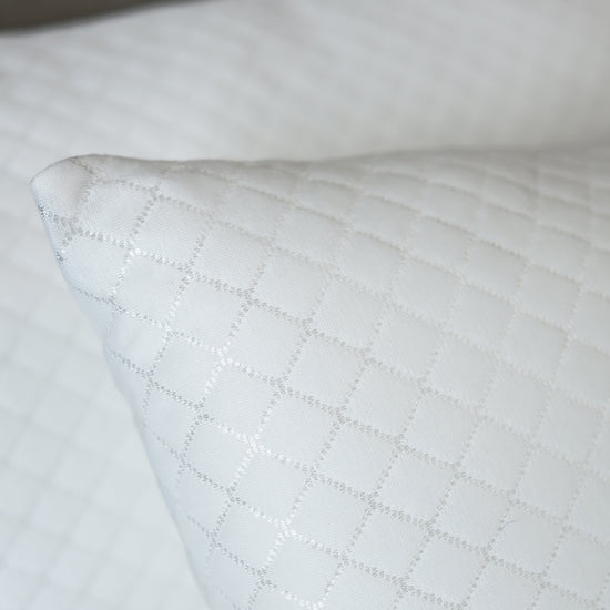 Pillow Protector (Pack of 2)