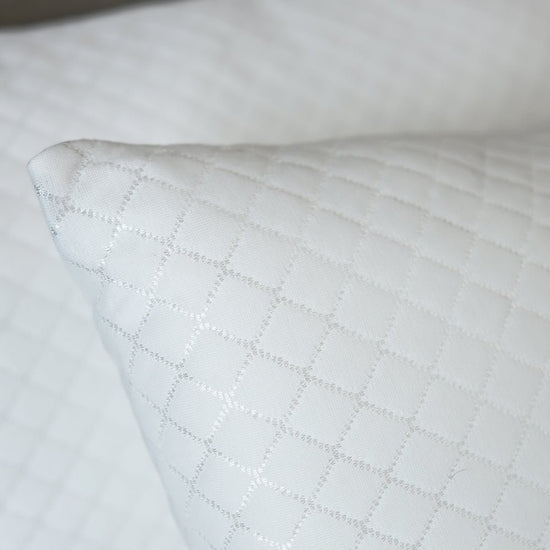 Pillow Protector (Pack of 2) - Seevo.in